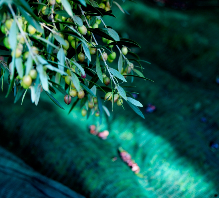 DSC_1495aaaa