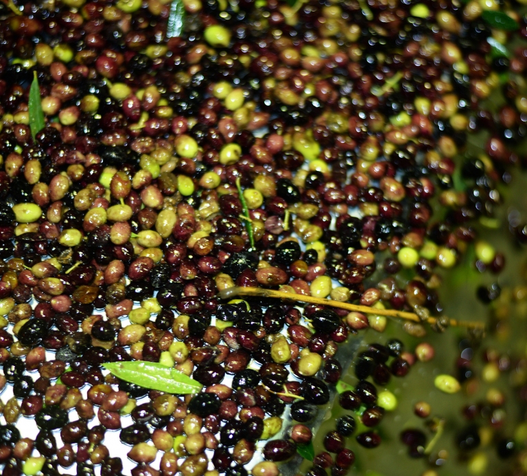 DSC_2030aaaa